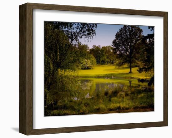 A Peaceful Rural Scene with Trees Lake, Green Grass and Blue Sky-Jody Miller-Framed Photographic Print