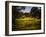 A Peaceful Rural Scene with Trees Lake, Green Grass and Blue Sky-Jody Miller-Framed Photographic Print