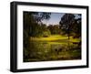 A Peaceful Rural Scene with Trees Lake, Green Grass and Blue Sky-Jody Miller-Framed Photographic Print