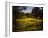 A Peaceful Rural Scene with Trees Lake, Green Grass and Blue Sky-Jody Miller-Framed Photographic Print