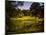 A Peaceful Rural Scene with Trees Lake, Green Grass and Blue Sky-Jody Miller-Mounted Photographic Print