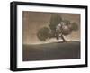 A Peaceful Spot-Terri Burris-Framed Art Print