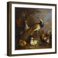 A Peacock, a Peahen and Poultry in a Landscape-Tobias Stranover-Framed Giclee Print