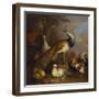 A Peacock, a Peahen and Poultry in a Landscape-Tobias Stranover-Framed Giclee Print