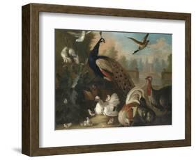 A Peacock and Other Birds in an Ornamental Landscape-Marmaduke Cradock-Framed Giclee Print