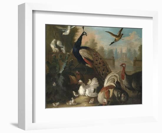 A Peacock and Other Birds in an Ornamental Landscape-Marmaduke Cradock-Framed Giclee Print