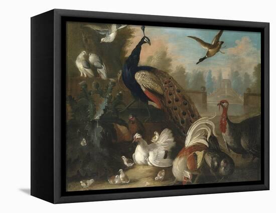 A Peacock and Other Birds in an Ornamental Landscape-Marmaduke Cradock-Framed Stretched Canvas