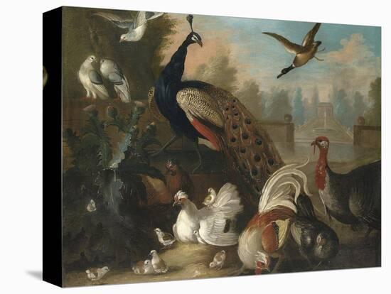 A Peacock and Other Birds in an Ornamental Landscape-Marmaduke Cradock-Stretched Canvas