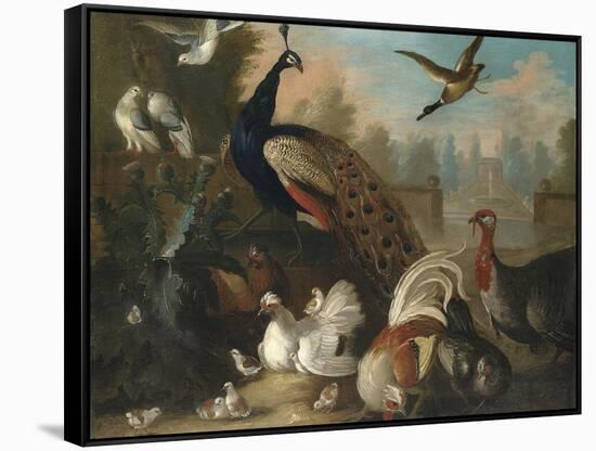 A Peacock and Other Birds in an Ornamental Landscape-Marmaduke Cradock-Framed Stretched Canvas