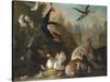 A Peacock and Other Birds in an Ornamental Landscape-Marmaduke Cradock-Stretched Canvas