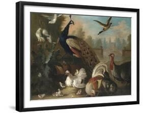 A Peacock and Other Birds in an Ornamental Landscape-Marmaduke Cradock-Framed Giclee Print