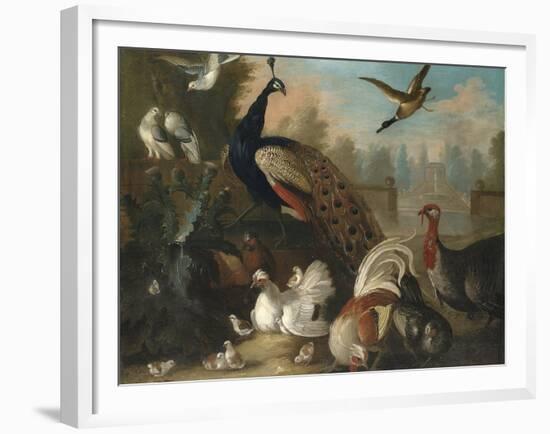 A Peacock and Other Birds in an Ornamental Landscape-Marmaduke Cradock-Framed Giclee Print