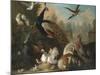 A Peacock and Other Birds in an Ornamental Landscape-Marmaduke Cradock-Mounted Giclee Print