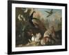 A Peacock and Other Birds in an Ornamental Landscape-Marmaduke Cradock-Framed Giclee Print