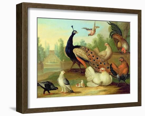 A Peacock, Doves, Chickens and a Jay in a Park-Marmaduke Cradock-Framed Giclee Print
