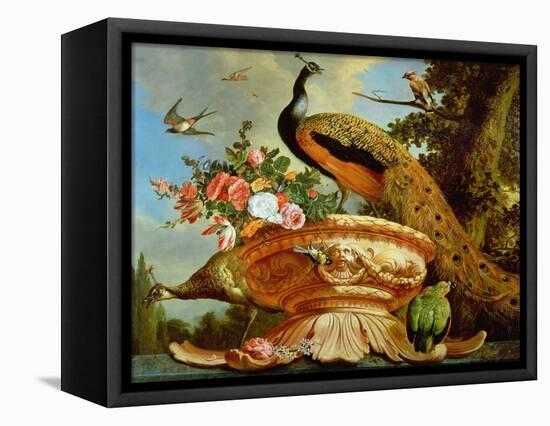 A Peacock on a Decorative Urn-Melchior de Hondecoeter-Framed Stretched Canvas