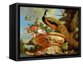 A Peacock on a Decorative Urn-Melchior de Hondecoeter-Framed Stretched Canvas