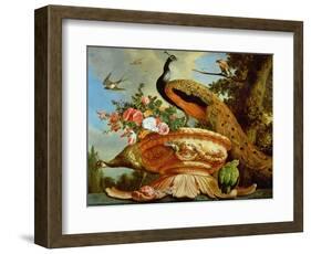 A Peacock on a Decorative Urn-Melchior de Hondecoeter-Framed Giclee Print