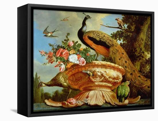 A Peacock on a Decorative Urn-Melchior de Hondecoeter-Framed Stretched Canvas