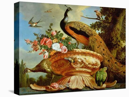 A Peacock on a Decorative Urn-Melchior de Hondecoeter-Stretched Canvas