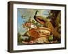 A Peacock on a Decorative Urn-Melchior de Hondecoeter-Framed Premium Giclee Print