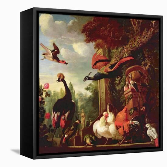 A Peacock, Peahen and Other Exotic Birds and Poultry on a Terrace-Melchior de Hondecoeter-Framed Stretched Canvas