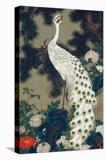 A Peacock, Pine and Peony-Jakuchu Ito-Stretched Canvas