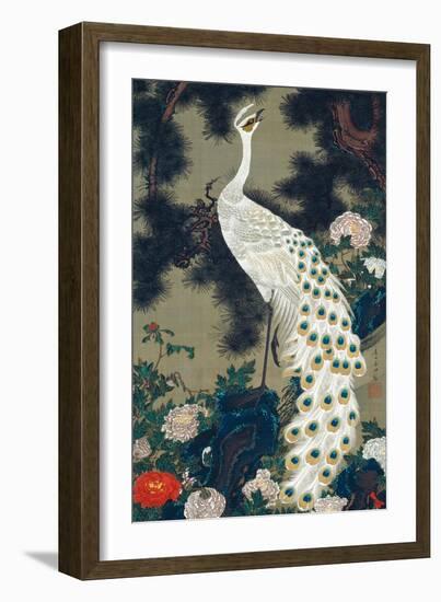 A Peacock, Pine and Peony-Jakuchu Ito-Framed Premium Giclee Print