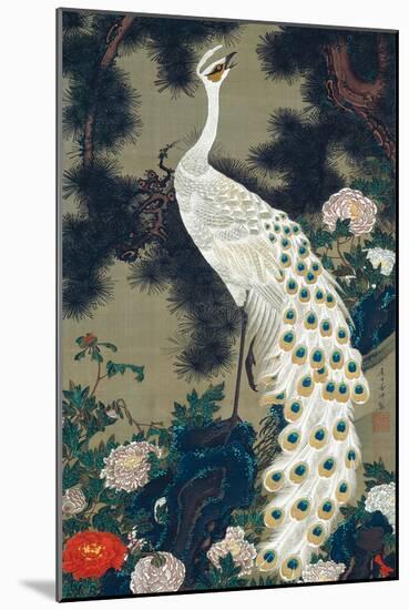 A Peacock, Pine and Peony-Jakuchu Ito-Mounted Premium Giclee Print