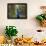 A Peacock Spreads its Feathers at the Alipore Zoo-null-Framed Photographic Print displayed on a wall