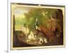 A Peacock, Turkey and Other Birds in an Ornamental Garden-Marmaduke Cradock-Framed Giclee Print