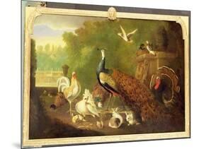 A Peacock, Turkey and Other Birds in an Ornamental Garden-Marmaduke Cradock-Mounted Giclee Print