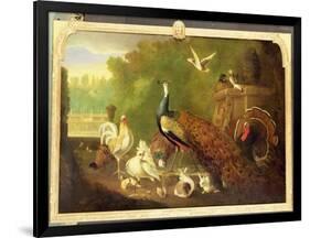 A Peacock, Turkey and Other Birds in an Ornamental Garden-Marmaduke Cradock-Framed Giclee Print