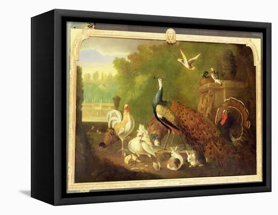 A Peacock, Turkey and Other Birds in an Ornamental Garden-Marmaduke Cradock-Framed Stretched Canvas