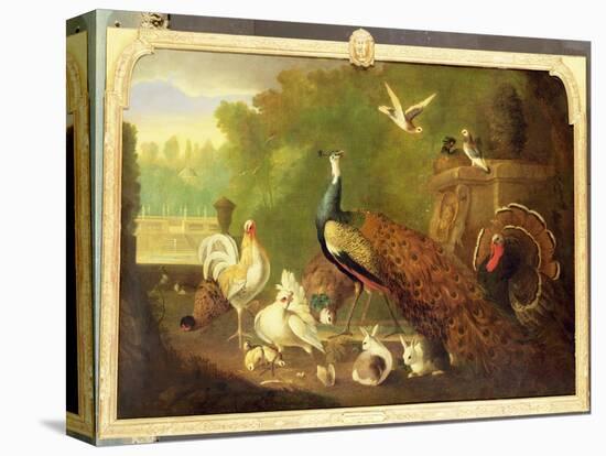 A Peacock, Turkey and Other Birds in an Ornamental Garden-Marmaduke Cradock-Stretched Canvas