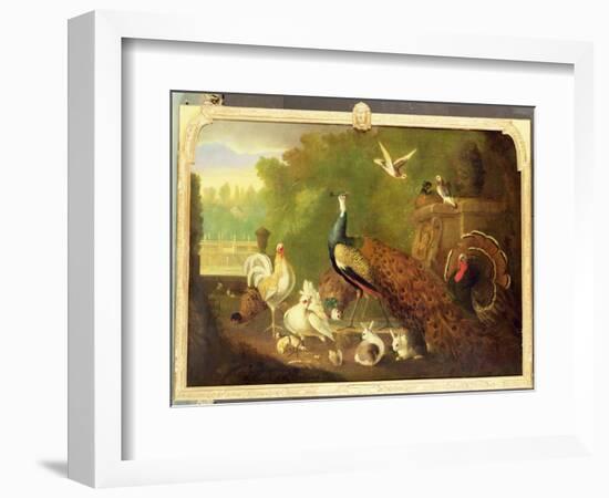 A Peacock, Turkey and Other Birds in an Ornamental Garden-Marmaduke Cradock-Framed Giclee Print