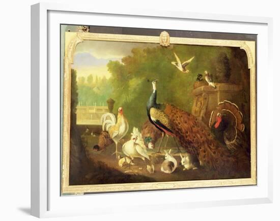 A Peacock, Turkey and Other Birds in an Ornamental Garden-Marmaduke Cradock-Framed Giclee Print