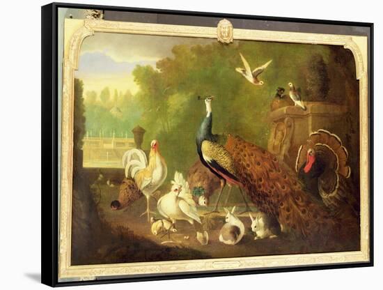 A Peacock, Turkey and Other Birds in an Ornamental Garden-Marmaduke Cradock-Framed Stretched Canvas