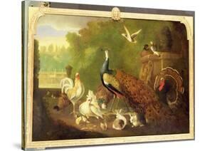 A Peacock, Turkey and Other Birds in an Ornamental Garden-Marmaduke Cradock-Stretched Canvas