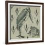 A Pelican and Frog in Conversation (W/C on Paper)-William De Morgan-Framed Giclee Print