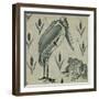 A Pelican and Frog in Conversation (W/C on Paper)-William De Morgan-Framed Giclee Print