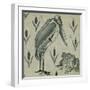 A Pelican and Frog in Conversation (W/C on Paper)-William De Morgan-Framed Giclee Print