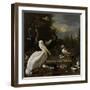 A Pelican and other Birds near a Pool, Known as ‘The Floating Feather’, c.1680-Melchior de Hondecoeter-Framed Giclee Print