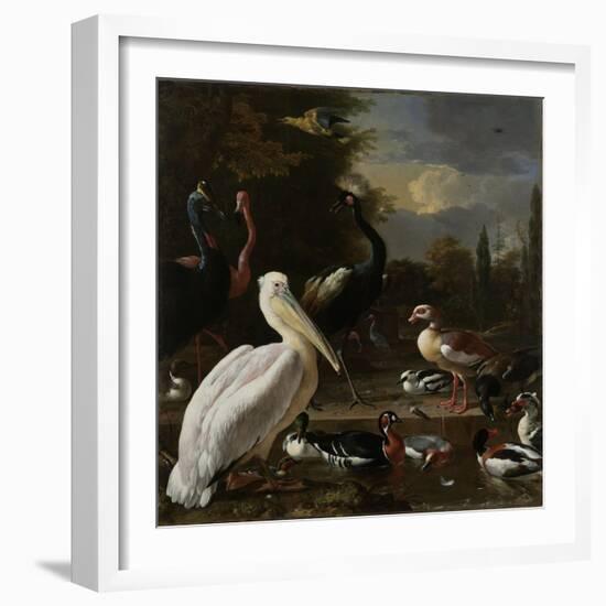 A Pelican and other Birds near a Pool, Known as ‘The Floating Feather’, c.1680-Melchior de Hondecoeter-Framed Giclee Print