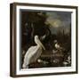 A Pelican and Other Birds Near a Pool, known as the Floating Feather-Melchior d'Hondecoeter-Framed Art Print