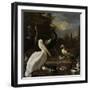 A Pelican and Other Birds Near a Pool, known as the Floating Feather-Melchior d'Hondecoeter-Framed Art Print