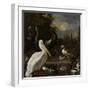 A Pelican and Other Birds Near a Pool, known as the Floating Feather-Melchior d'Hondecoeter-Framed Art Print