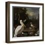 A Pelican and Other Birds Near a Pool, known as the Floating Feather-Melchior d'Hondecoeter-Framed Art Print