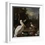 A Pelican and Other Birds Near a Pool, known as the Floating Feather-Melchior d'Hondecoeter-Framed Art Print