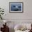 A Pelican Landing on the Water Near Walvis Bay, Namibia-Alex Saberi-Framed Photographic Print displayed on a wall